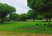 Casa de camp amb terreny en venda a la España, Puerto Real, ref.: TR373072 foto