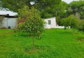 Casa de camp amb terreny en venda a la España, Puerto Real, ref.: TR373072 foto