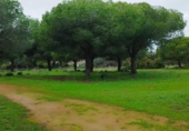 Casa de camp amb terreny en venda a la España, Puerto Real, ref.: TR373072 foto