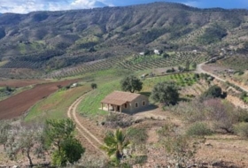 Pizarra 50&nbsp;m² 