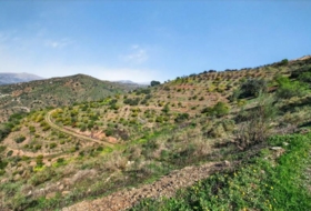Pizarra 50&nbsp;m² 