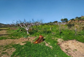 Pizarra 50&nbsp;m² 