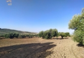 Xalet independent amb terreny en venda a la España, Arcos de la Frontera, ref.: TR145802 foto