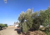 Xalet independent amb terreny en venda a la España, Arcos de la Frontera, ref.: TR145802 foto