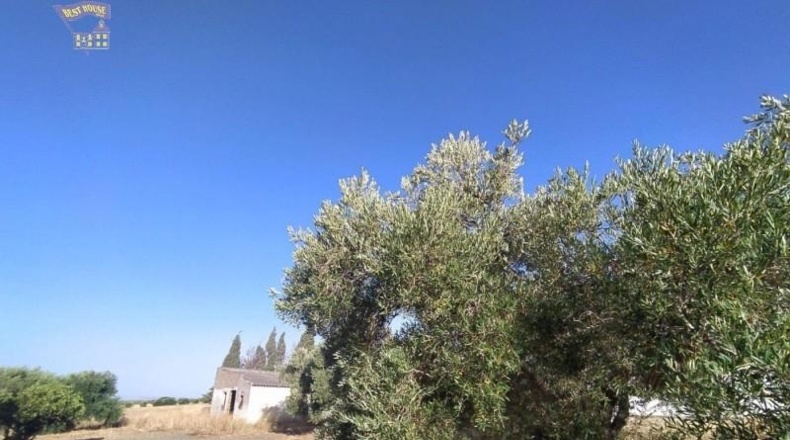 Cádiz - Arcos de la Frontera - 20000m2