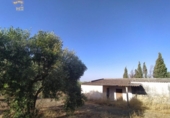 Xalet independent amb terreny en venda a la España, Arcos de la Frontera, ref.: TR145802 foto