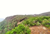Non-developable land for sale on España, La Rambla, ref: TR383002 photo