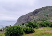 Non-developable land for sale on España, La Rambla, ref: TR383002 photo