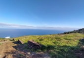 Non-developable land for sale on España, La Rambla, ref: TR383002 photo