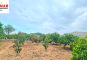 Country house with land for sale on España, Chipiona, ref: TR282934 photo