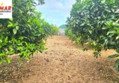 Country house with land for sale on España, Chipiona, ref: TR282934 photo