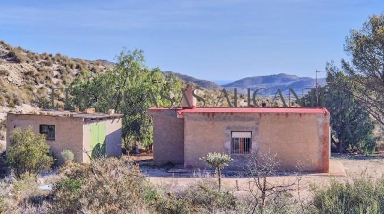 Alicante - Busot - 50000m2