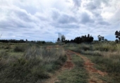 Sòl urbà en venda a la España, Torreblanca, ref.: TR348702 foto
