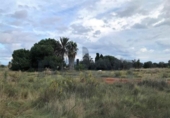 Sòl urbà en venda a la España, Torreblanca, ref.: TR348702 foto