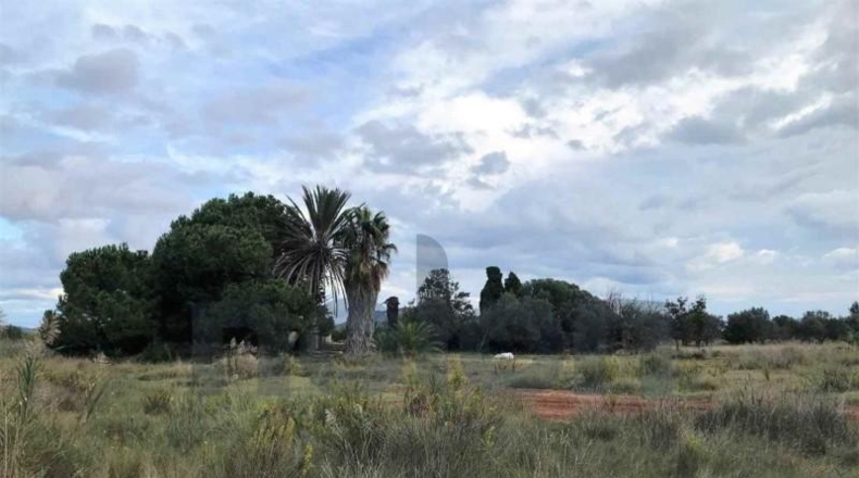 Málaga - Fuengirola - 4290m2