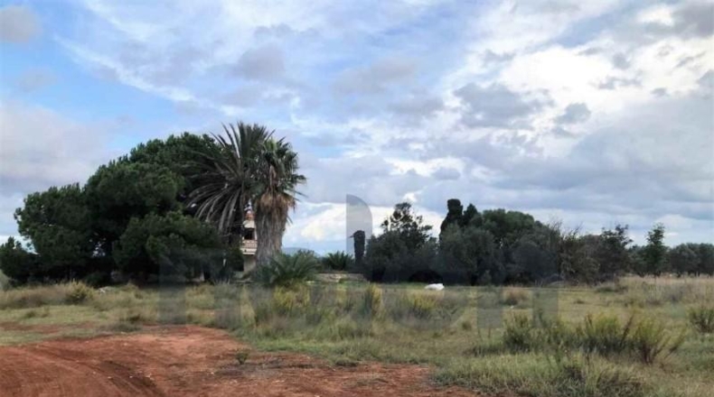 Málaga - Fuengirola - 4290m2