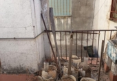 Дом с участком на продажу в городе Кордова Фото