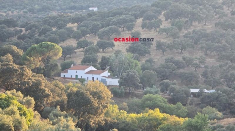 Córdoba - Villanueva del Rey - 270000m2