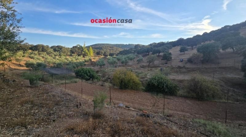 Córdoba - Villanueva del Rey - 270000m2
