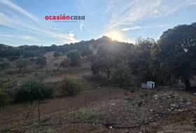 Villanueva del Rey 270000&nbsp;m² 