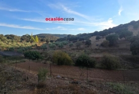Villanueva del Rey 270000&nbsp;m² 