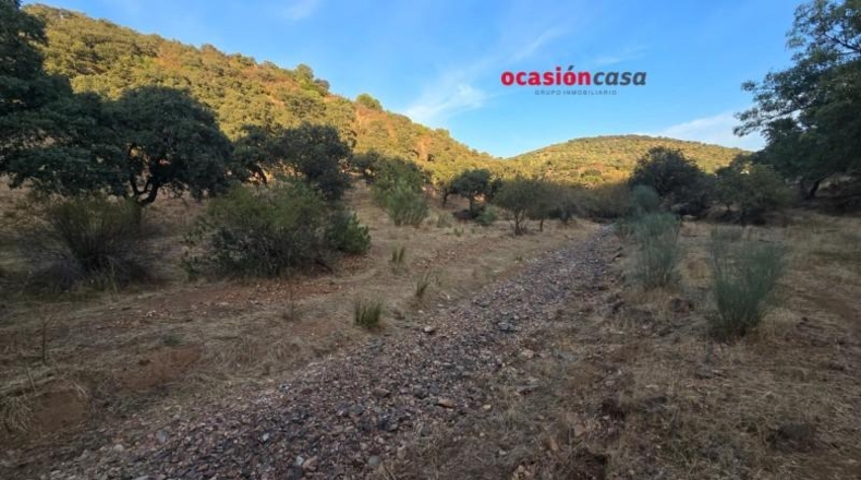 Córdoba - Villanueva del Rey - 270000m2