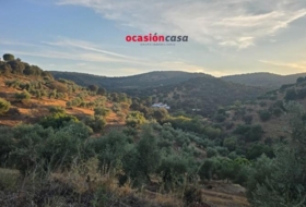 Villanueva del Rey 270000&nbsp;m² 