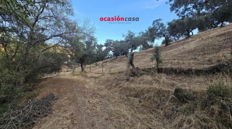 Córdoba - Villanueva del Rey - 270000m2
