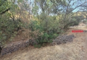 Detached villa with land for sale on España, Villanueva del Rey, ref: TR352440 photo
