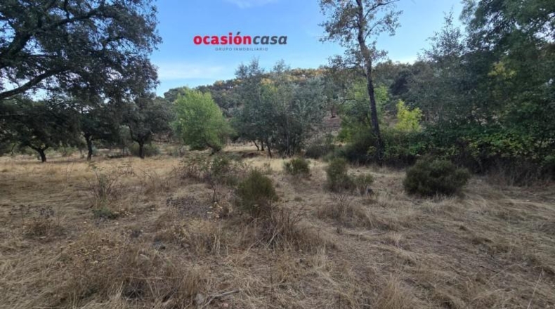 Córdoba - Villanueva del Rey - 270000m2
