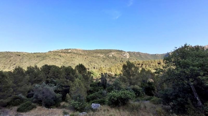 Castellón - Cabanes - 9242m2