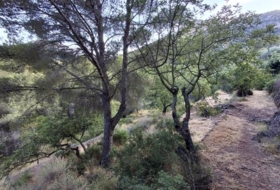 Foto 8