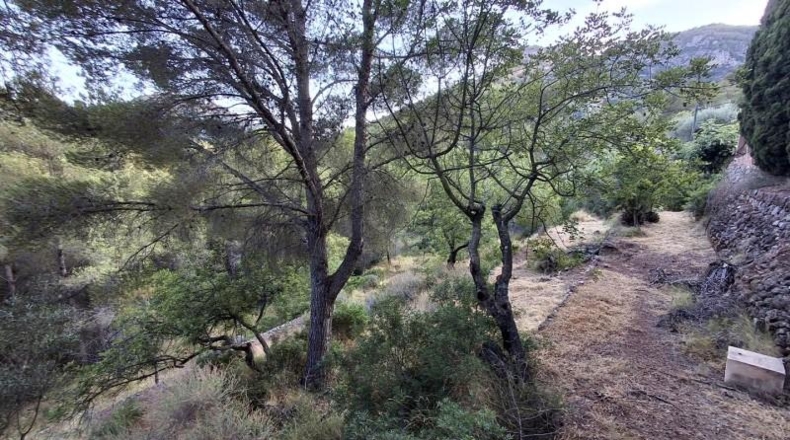 Castellón - Cabanes - 9242m2
