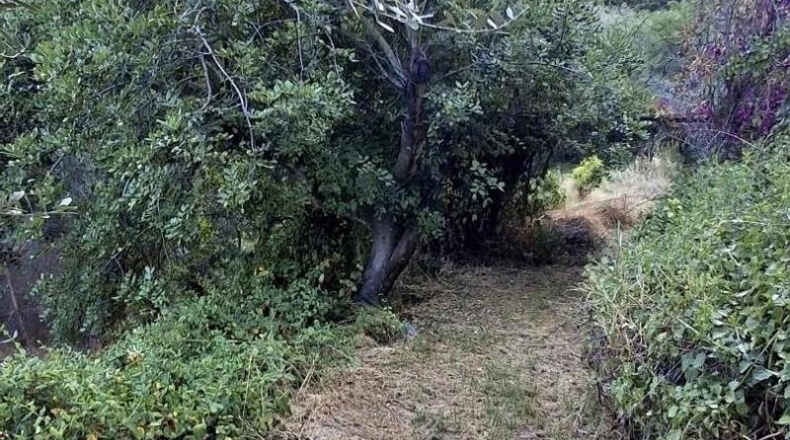 Castellón - Cabanes - 9242m2