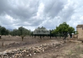 Terreno no urbanizable en venta en la España, el Perelló, ref: TR312838 foto