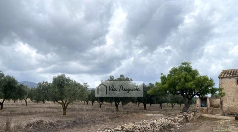 Tarragona - el Perelló - 68302m2