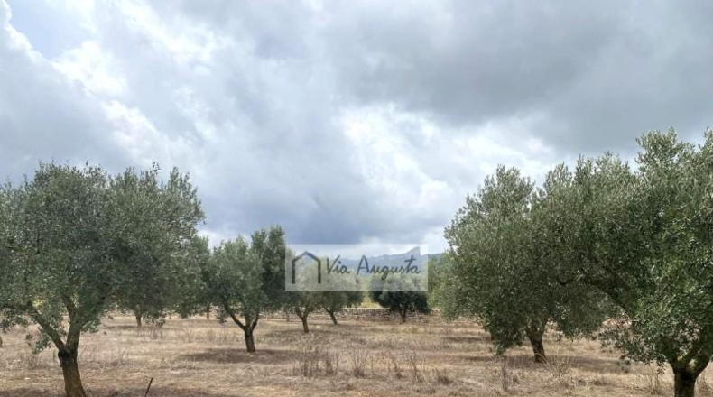 Tarragona - el Perelló - 68302m2