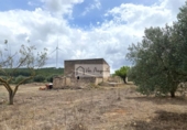 Terreno no urbanizable en venta en la España, el Perelló, ref: TR312838 foto