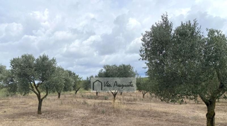 Tarragona - el Perelló - 68302m2