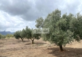 Terreno no urbanizable en venta en la España, el Perelló, ref: TR312838 foto