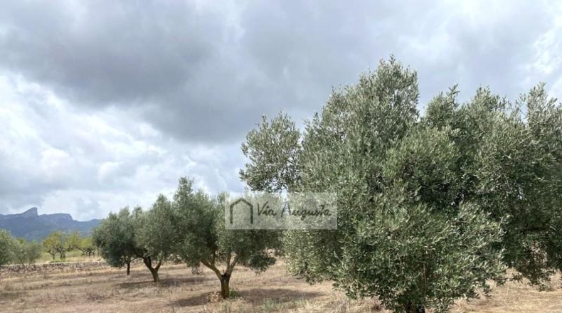 Tarragona - el Perelló - 68302m2