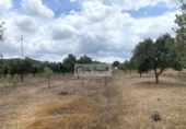 Terreno no urbanizable en venta en la España, el Perelló, ref: TR312838 foto