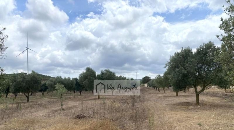 Tarragona - el Perelló - 68302m2