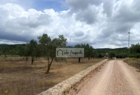 Foto 13