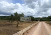 Terreno no urbanizable en venta en la España, el Perelló, ref: TR312838 foto