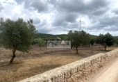 Terreno no urbanizable en venta en la España, el Perelló, ref: TR312838 foto