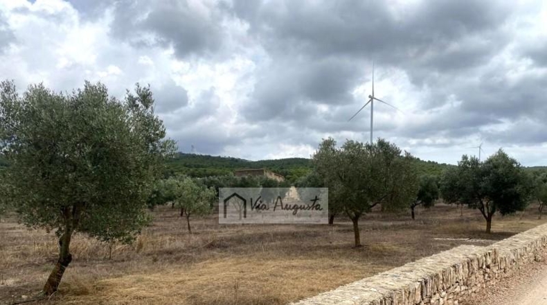Tarragona - el Perelló - 68302m2