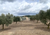 Terreno no urbanizable en venta en la España, el Perelló, ref: TR312838 foto