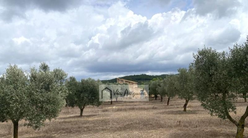 Tarragona - el Perelló - 68302m2