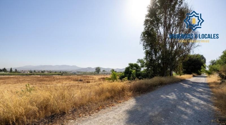 Granada - Granada - 21000m2